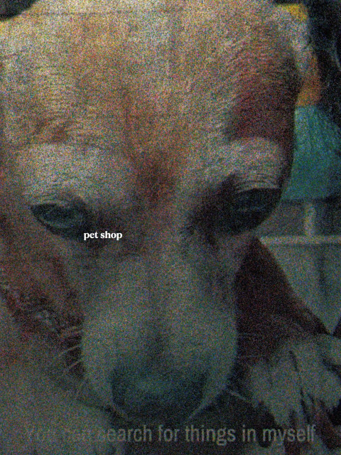 Tienda de perros (2026)