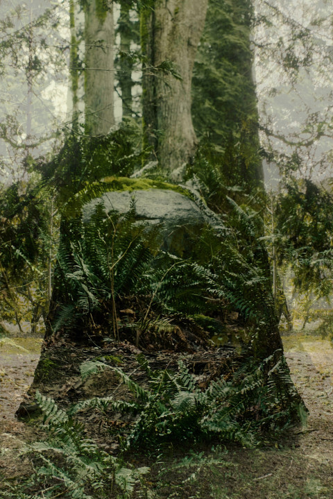 Vertical Remains (2026)