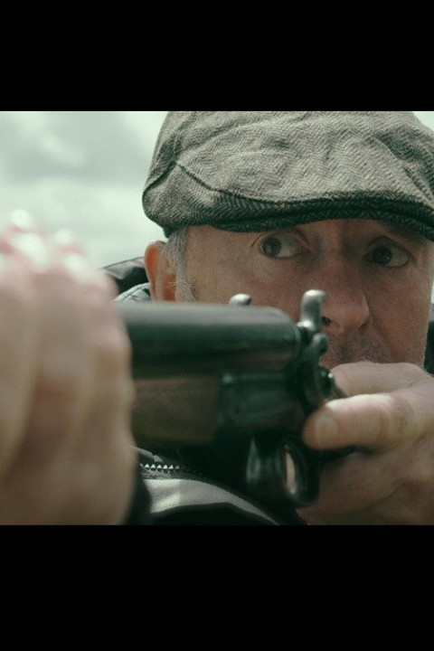 Cattle (2026)
