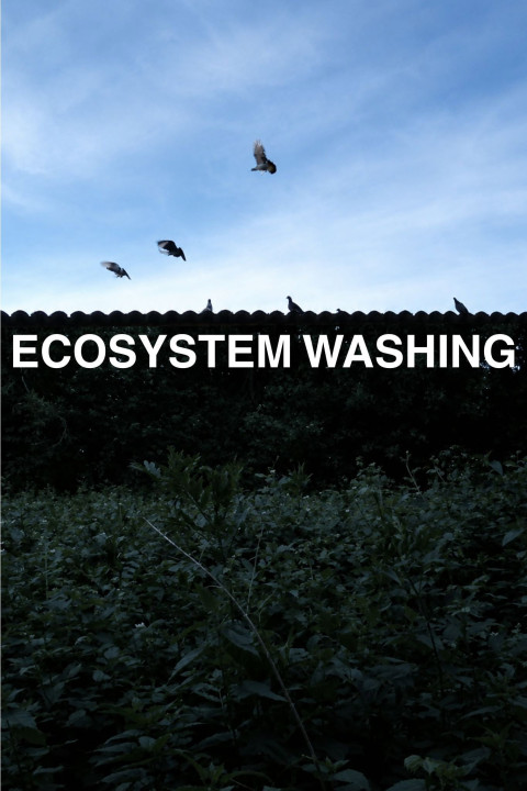 Ecosystem Washing (2026)
