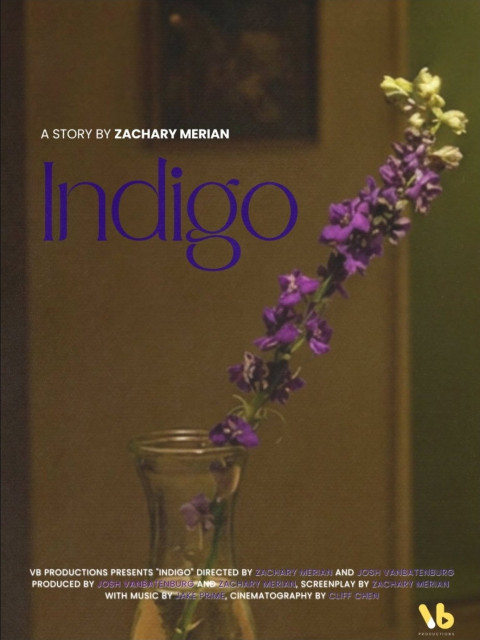 INDIGO (2026)