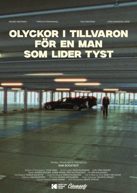 Olyckor i Tillvaron, för en man som lider tyst (2026)