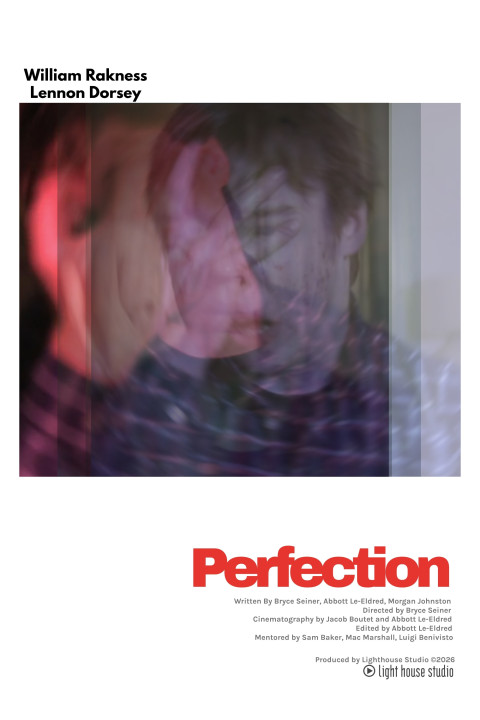 Perfection (2026)