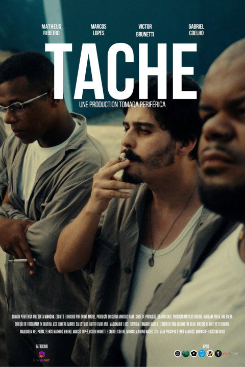 TACHE (2026)