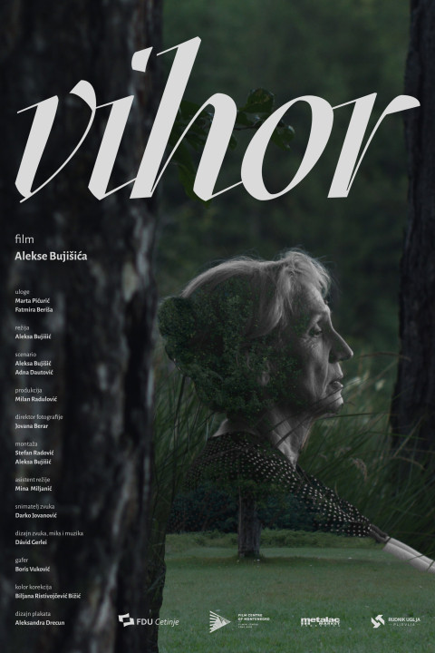 Vihor (2026)