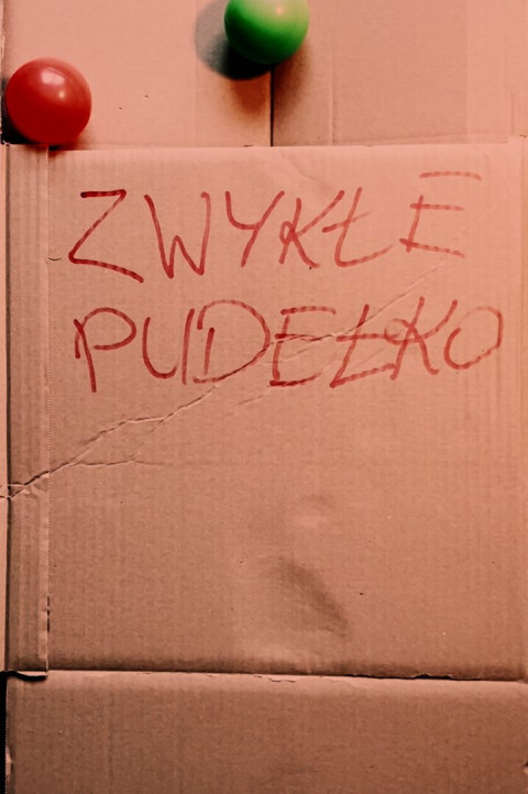 ZWYKŁE PUDEŁKO (2026)