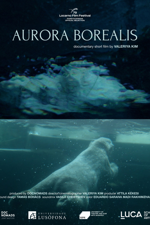 Aurora Borealis (2026)
