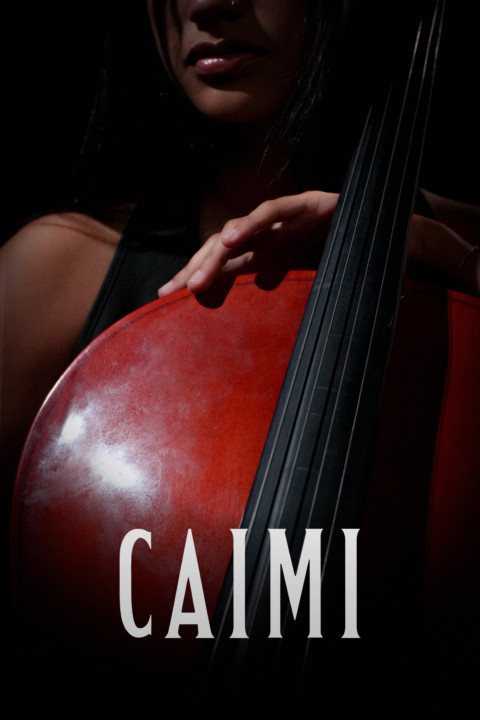 CAIMI (2026)