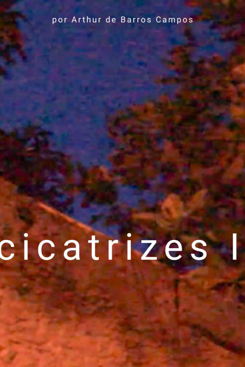 Cicatrizes I (2026)