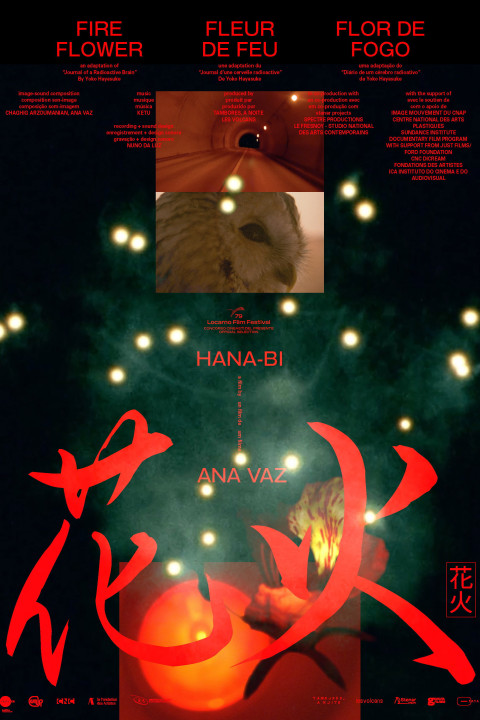 Hanabi (2026)