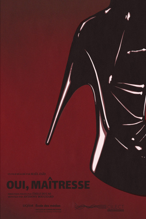 Oui, Maîtresse (2026)