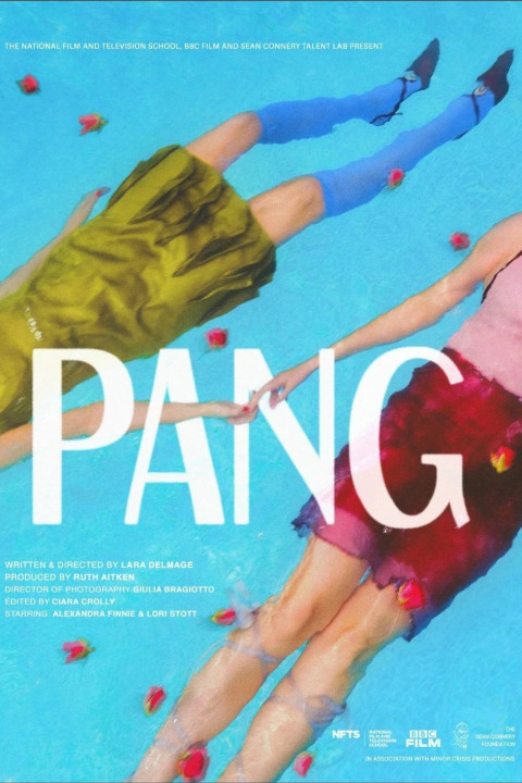 Pang (2026)