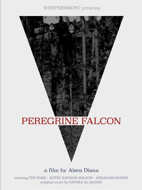 Peregrine Falcon (2026)