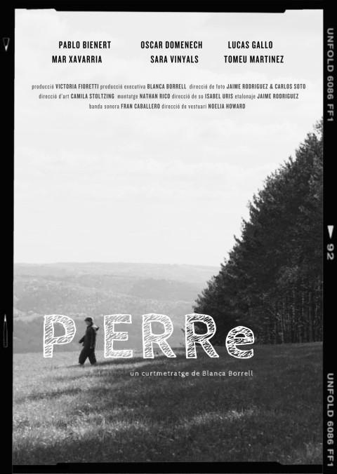 PIERRe (2026)