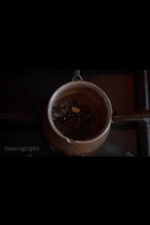 Tasseography (2026)