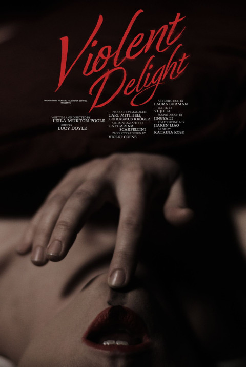 Violent Delight (2026)