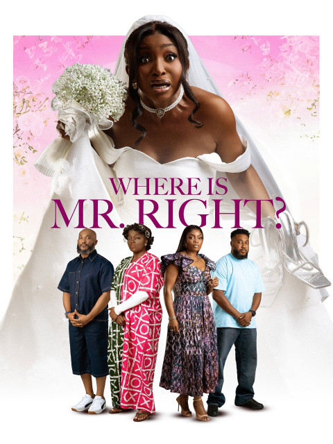 Where is Mr Right (2026)