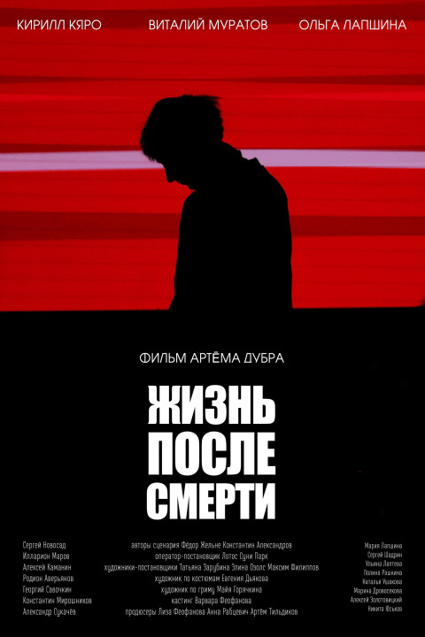 Жизнь после смерти (2026)