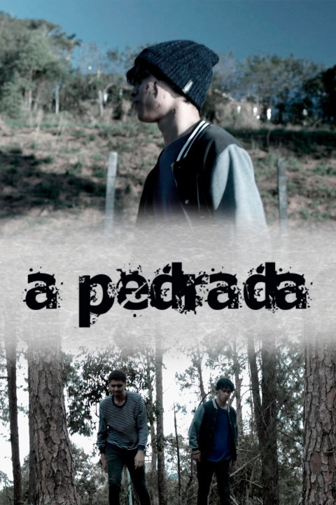 A Pedrada (2026)