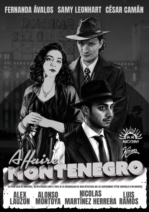 Affaire Montenegro (2026)