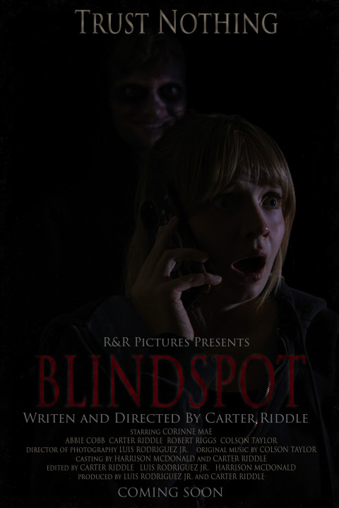 BLINDSPOT (2026)