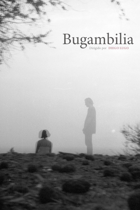 Bugambilia (2026)