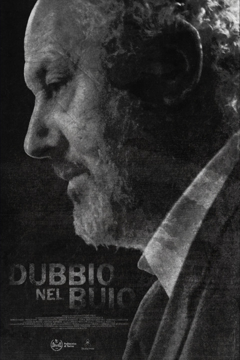 Dubbio nel buio (2026)