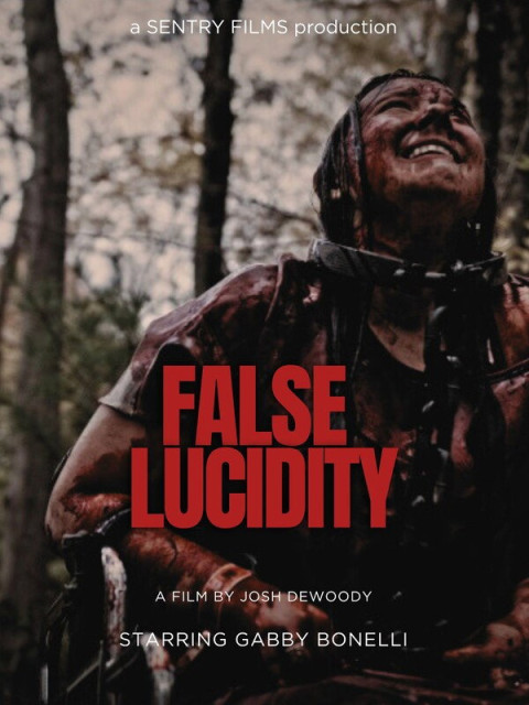 False Lucidity (2026)