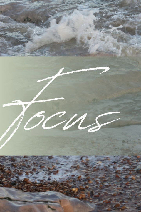 Focus (2026)