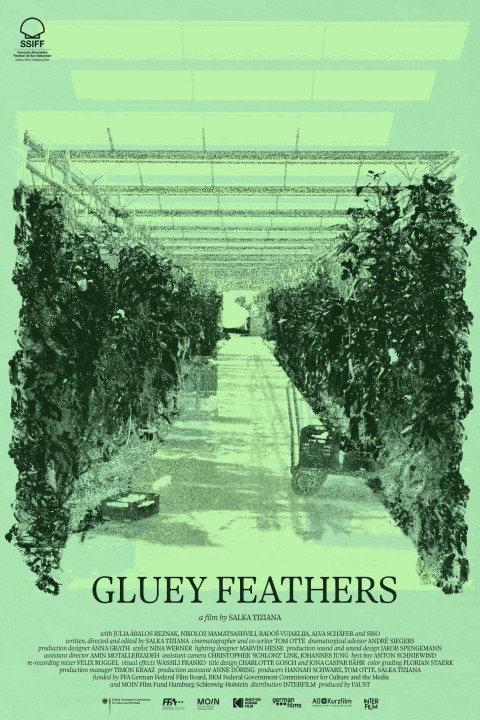 Gluey Feathers (2026)