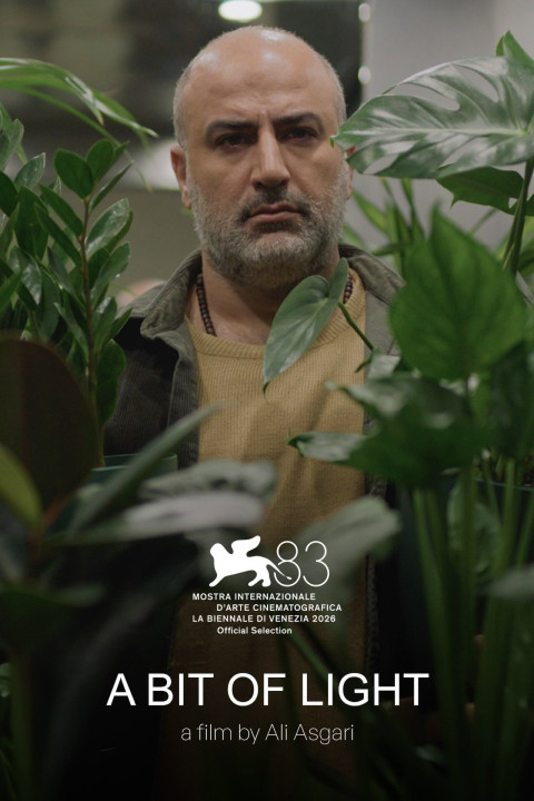 کمی نور (2026)