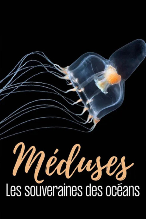 Méduses les souveraines des océans (2026)
