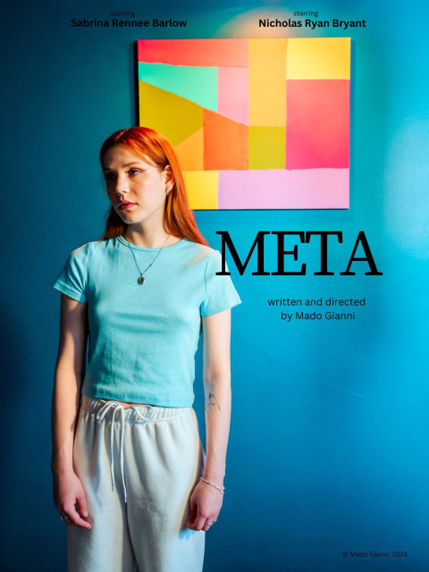Meta (2026)