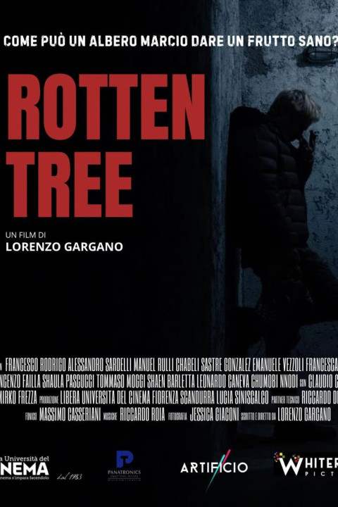 Rotten Tree (2026)