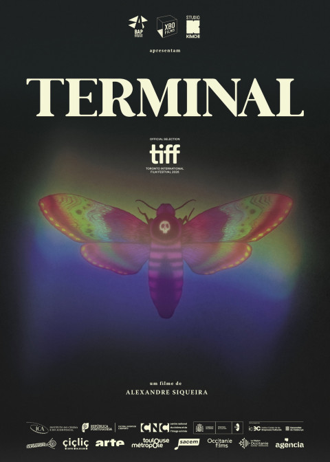 Terminal (2026)