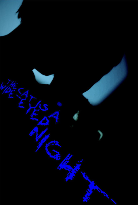 The Cat Is A Wide-Eyed Night (2026)