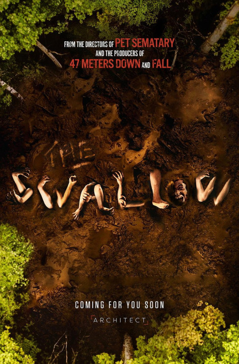 The Swallow (2026)