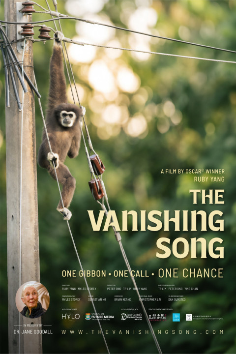 The Vanishing Song (2026)