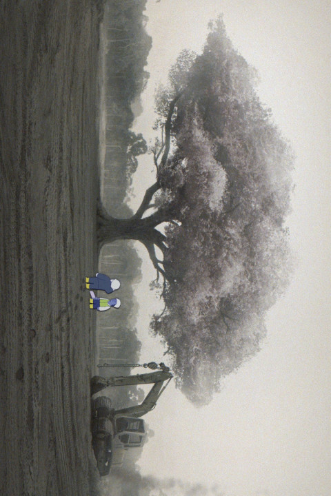 A Tree (2026)