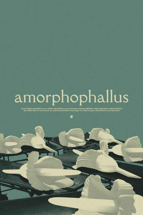 Amorfofalas (2026)