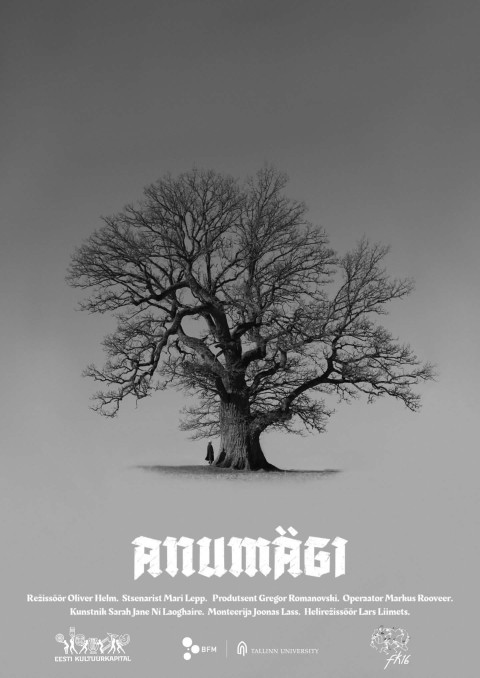Anumägi (2026)