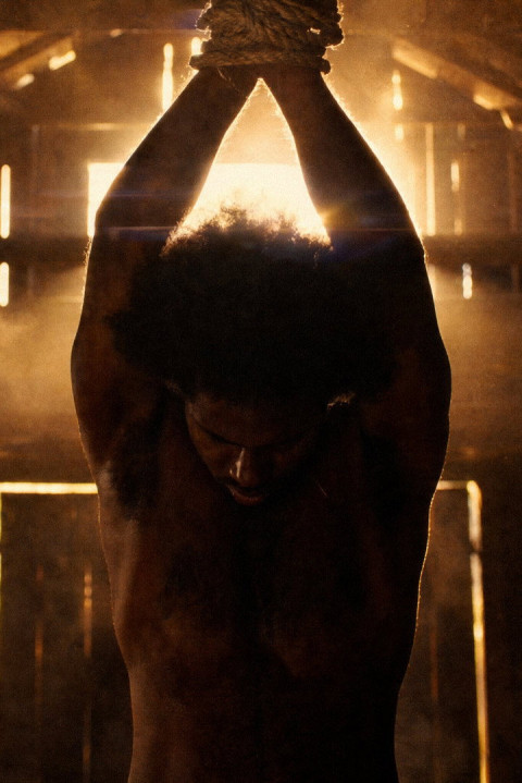 Born Invincible (2026)