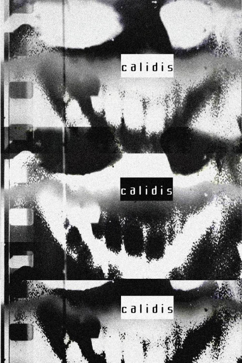 Calidis (2026)