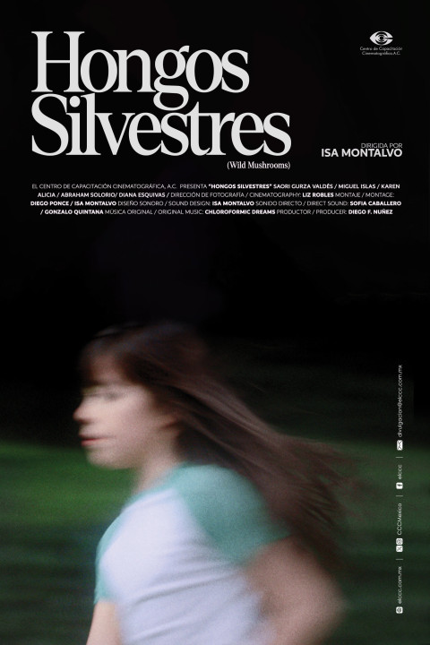 Hongos Silvestres (2026)