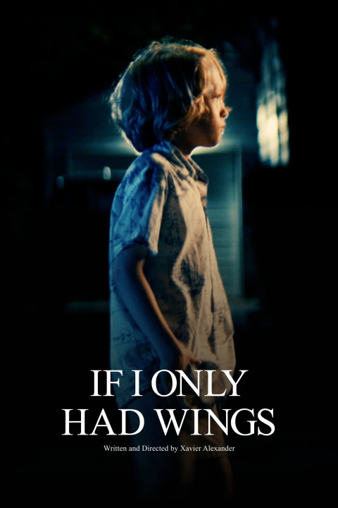 If I Only Had Wings (2026)