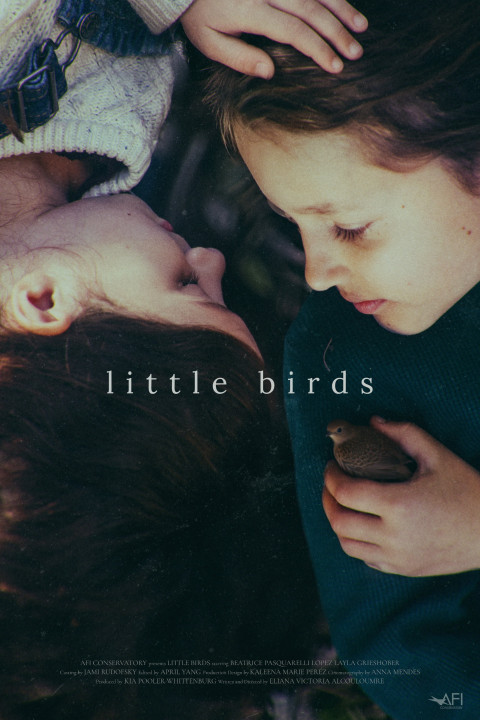 Little Birds (2026)