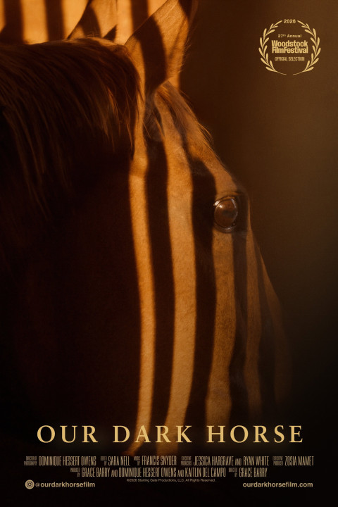 Our Dark Horse (2026)