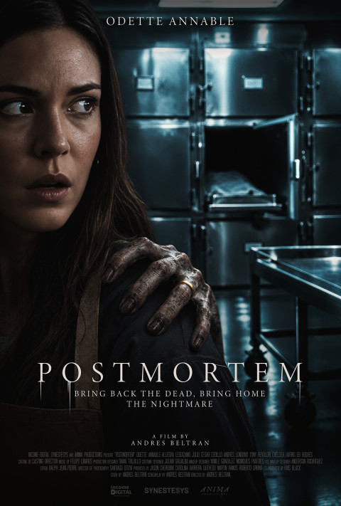 Postmortem (2026)