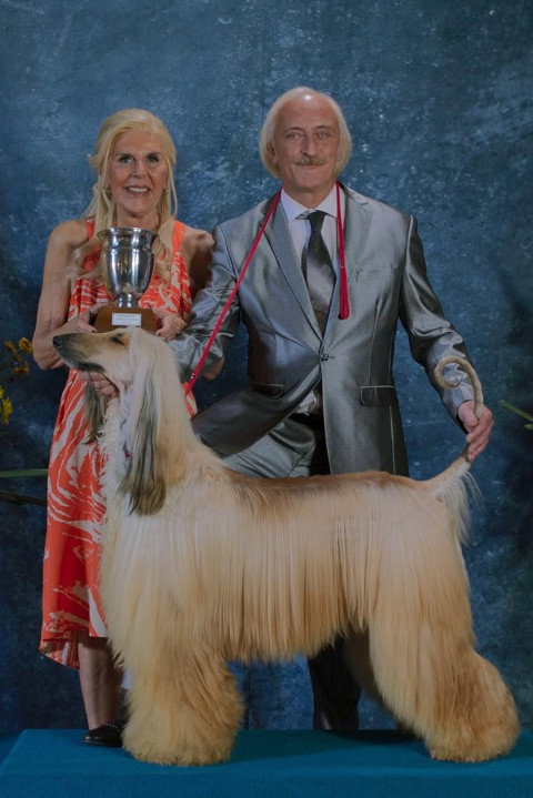Prince (2026)