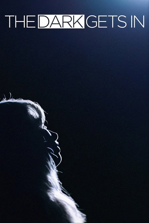 The Dark Gets In (2026)